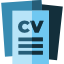 curriculum-vitae
